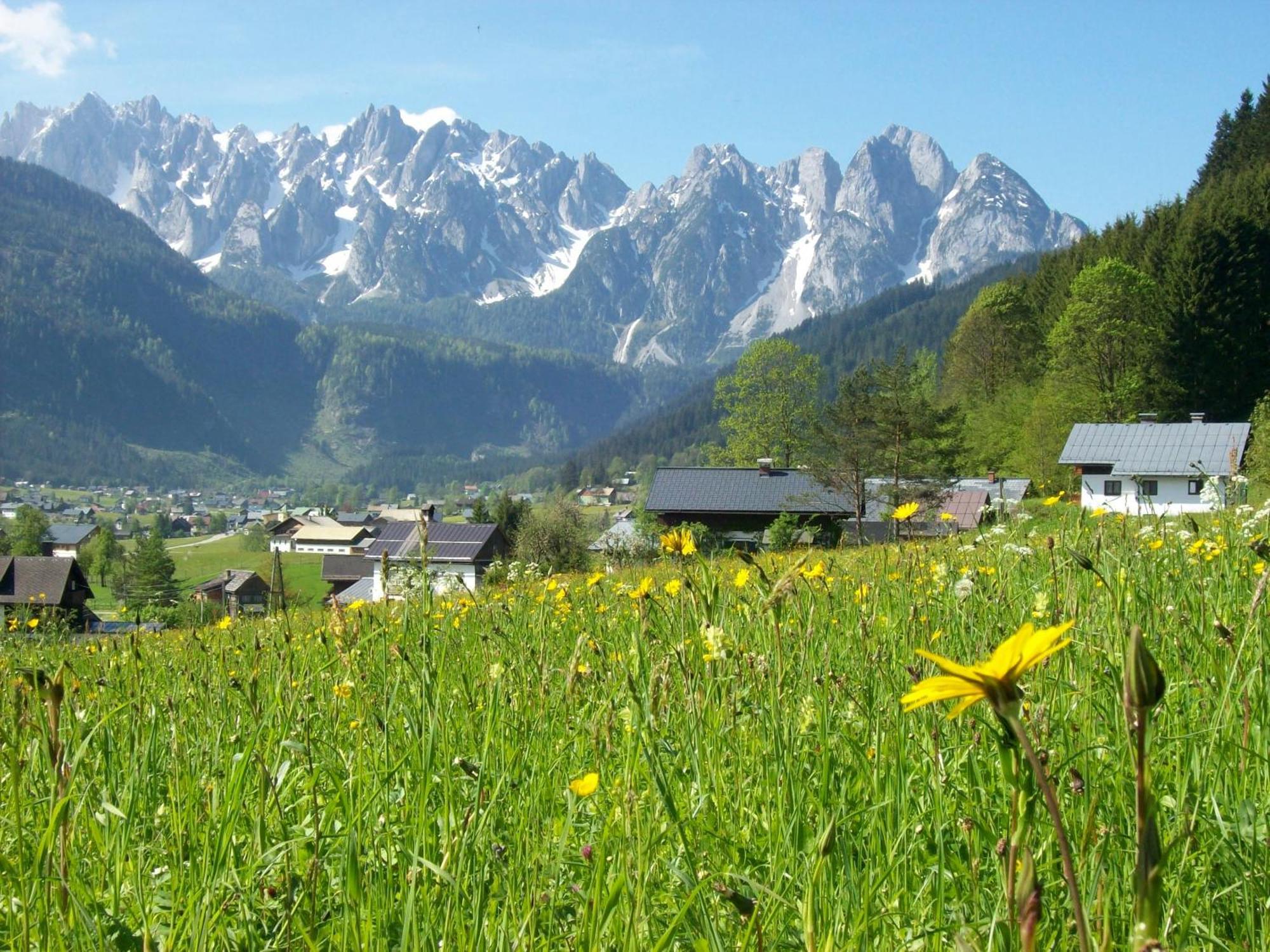 Sunseitn Apartments Gosau Exterior foto